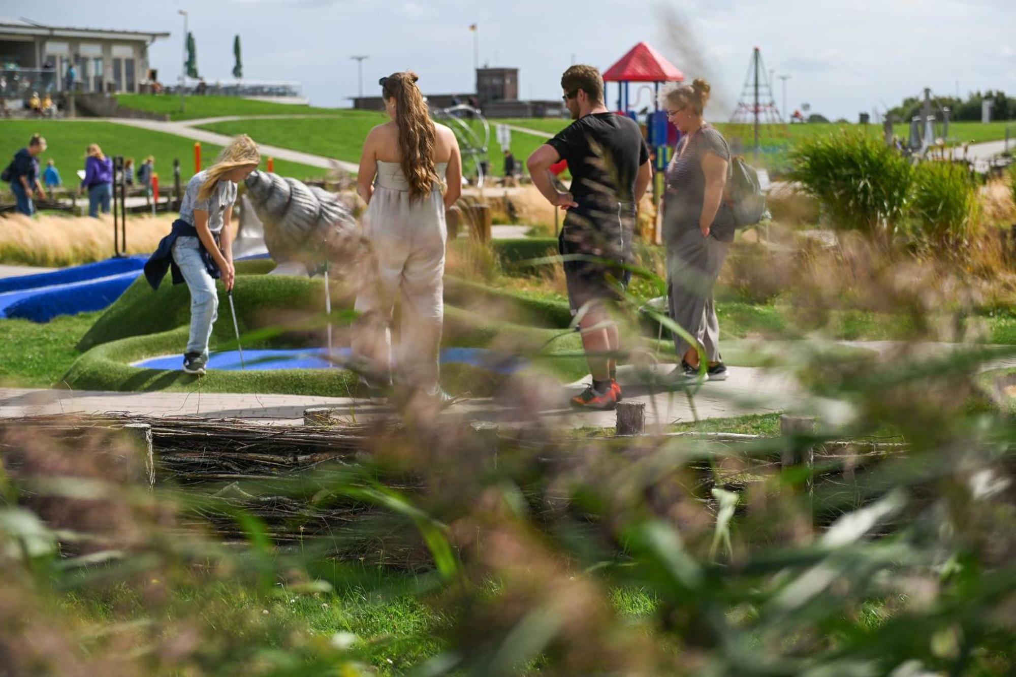 Tiny House Pioneer 18 Zur Meerseite - Green Tiny Village Harlesiel Каролінензіль Екстер'єр фото